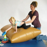 Dolphin Air Mat