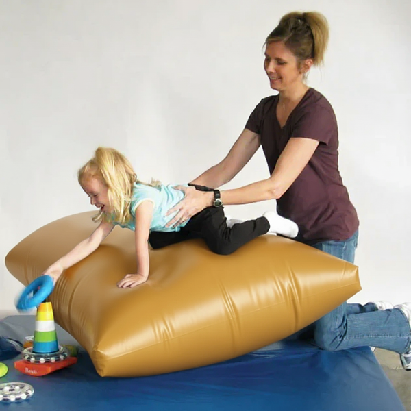 Dolphin Air Mat