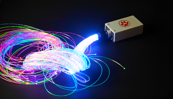 Fibre Optic Light Source - Interactive