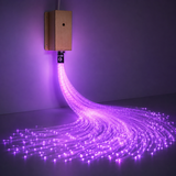 Fibre Optic Light Source - Interactive (Version 1.0)
